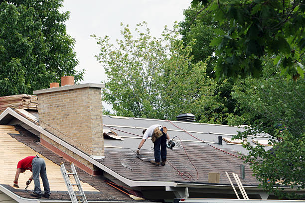 Best Roof Maintenance Services  in Wyoming, PA